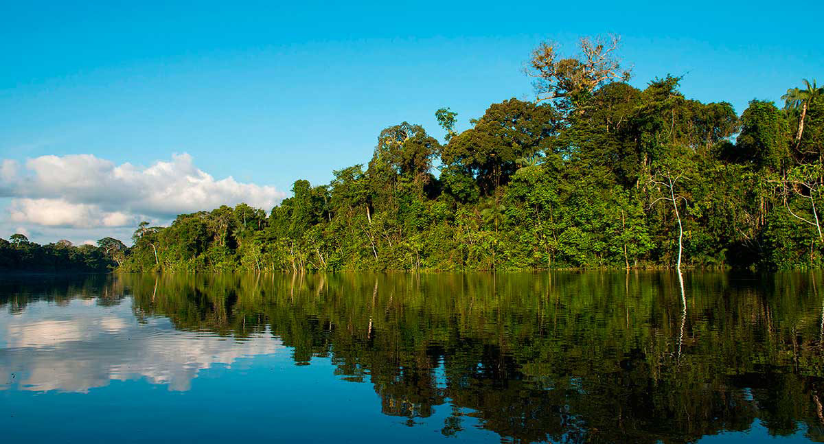 Lo Mejor de la Selva Peruana: Paquetes Turísticos al Amazonas 2 Amazonia Puerto Maldonado