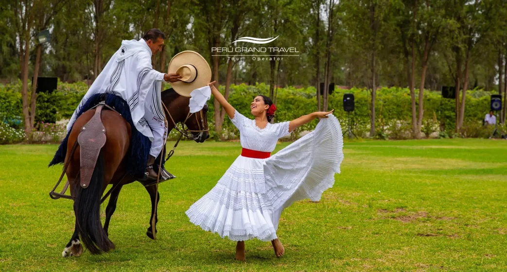 Caballo Peruano de Paso: historia, andar, temperamento y dónde verlo en Perú 3 Danza de Marinera con chalán y Caballo Peruano de Paso en un show cultural al aire libre, mostrando tradición y elegancia peruana