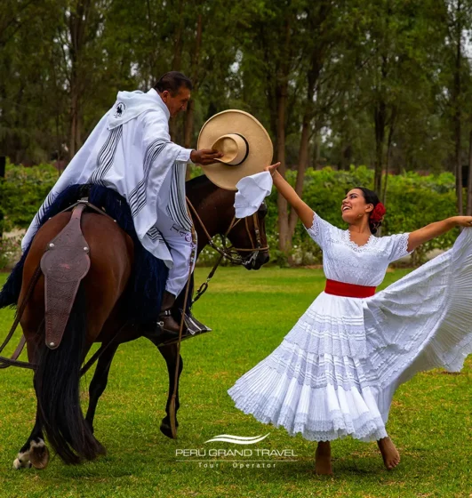Mejor época para visitar Lima: Guía completa de clima, temporadas y consejos 4 Festival del Caballo de Paso