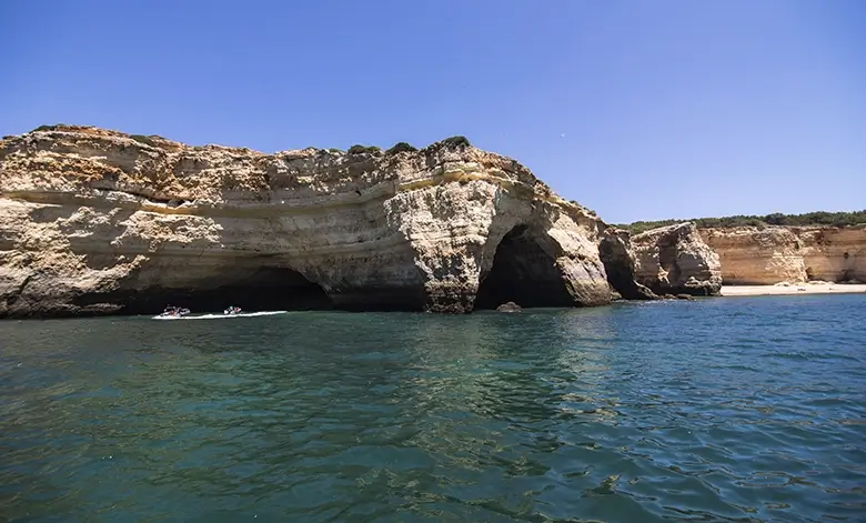 Explora los lugares Turísticos de Ica: Una Guía para Viajeros Aventureros 2 Reserva Nacional de Paracas