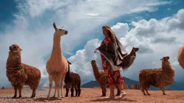Ropa de Alpaca de Perú
