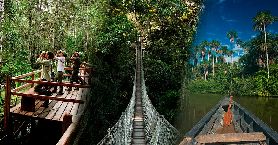 Explora los Mejores Hoteles de Tambopata y sus Actividades 8 actividades en inkaterra tambopata