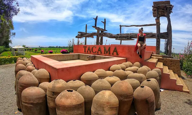 Qué hacer en Huacachina: Aventuras y relax en el oasis peruano 3 Bodegas de Pisco en Ica