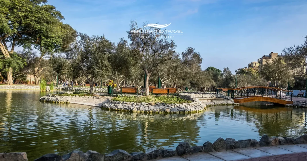 10 lugares para pasear en Lima que te harán amar de la ciudad 7 Sendero arbolado del Parque El Olivar en San Isidro con antiguos olivos y luz natural.