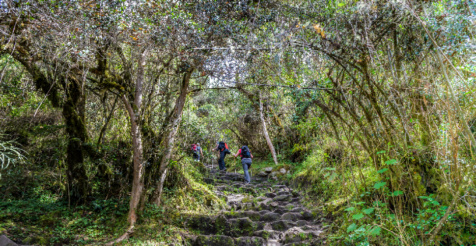 Chaski Inca: Los Veloces Mensajeros que Unieron el Imperio 6 camino-inca-4-dias