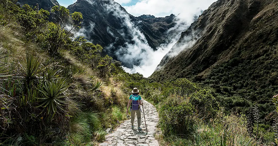Cómo llegar a Machu Picchu: Guía Completa para Viajeros 2025 4 camino inca para llegar a machu picchu, mucha vegetacion verde y camino empedrado