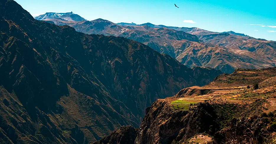 Qué Ver en Arequipa: Los Imprescindibles de la Ciudad Blanca 5 que ver en arequipa, cañon del colca con vista de un condor