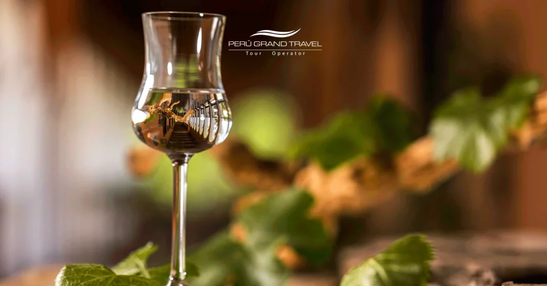 Dónde comprar pisco peruano: La guía definitiva para encontrar el verdadero espíritu del Perú 2026 1 copa de pisco, donde comprar pisco peruano, pisco puro peruano, viñedos de pisco en peru
