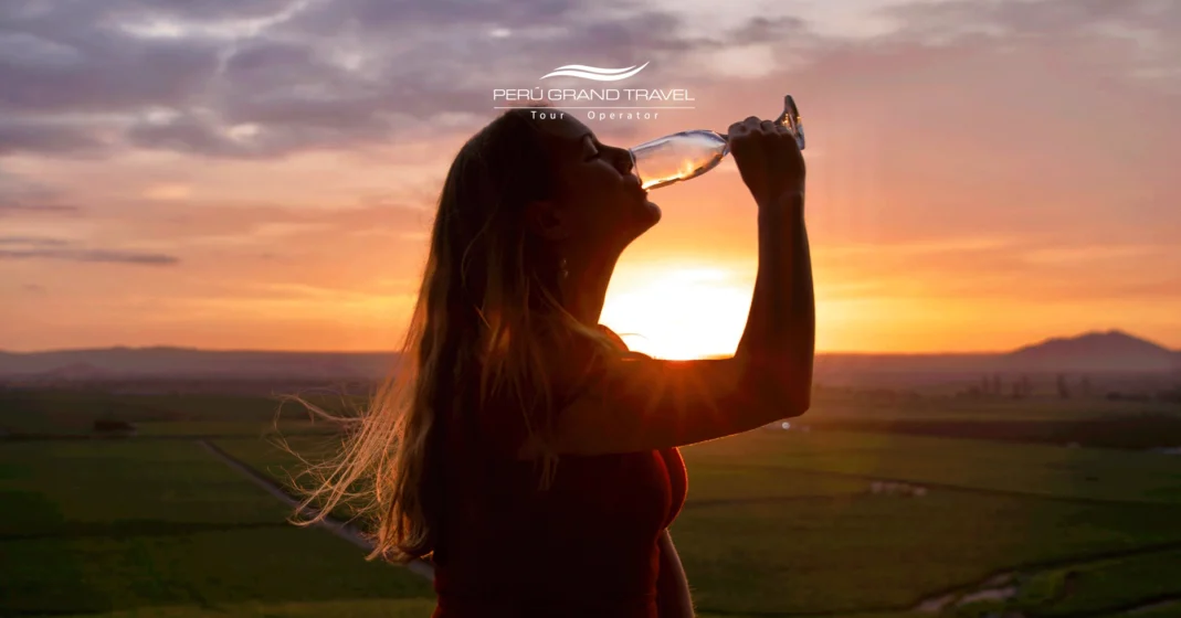 Dónde comprar pisco peruano: La guía definitiva para encontrar el verdadero espíritu del Perú 2026 6 copa de pisco, donde comprar pisco peruano, pisco puro peruano, viñedos de pisco en peru, turista tomando pisco peruano
