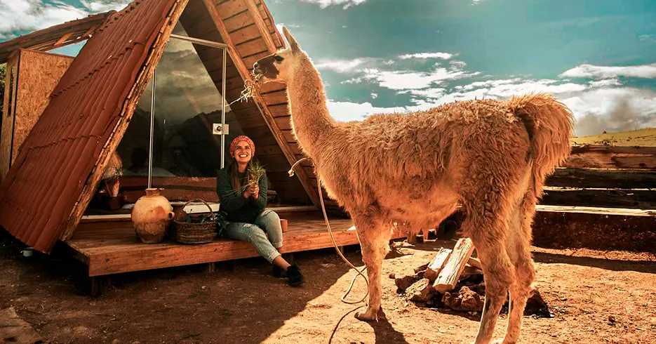 Descubre los 3 hoteles en Cusco rodeados de naturaleza 2 hotel de cusco, mountain view alimentando a una llama