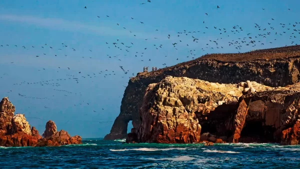 Islas Ballestas Perú: tu próxima aventura en el mar 10 reserva nacional de paracas y las islas ballestas peru