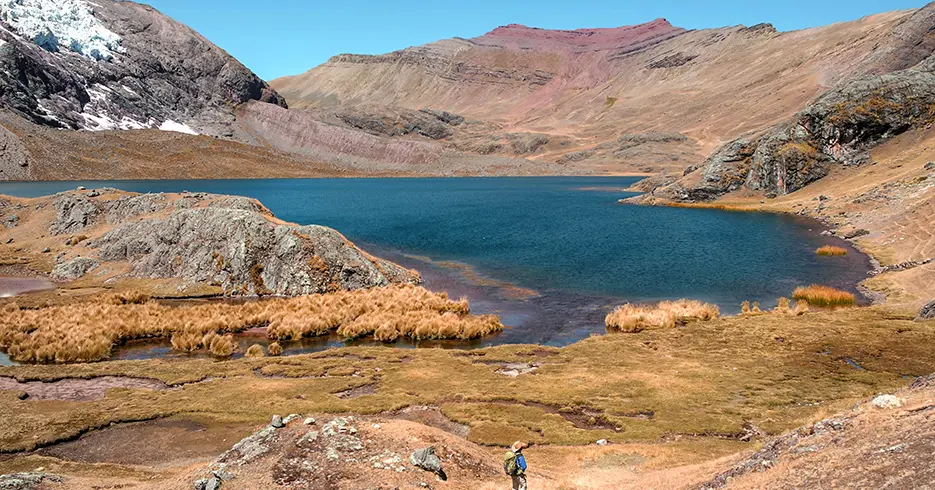 Cómo Realizar el increíble Tour 7 Lagunas de Ausangate en Cusco en 1 Día 1 Laguna pucacocha alrededor de plantas llamada Ichu de los andes, paisaje con montañas y piedras y persona caminando por esta ruta.