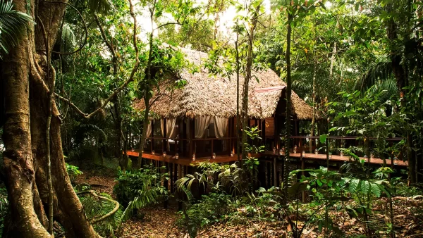 los mejores hoteles de la reserva nacional de tambopata