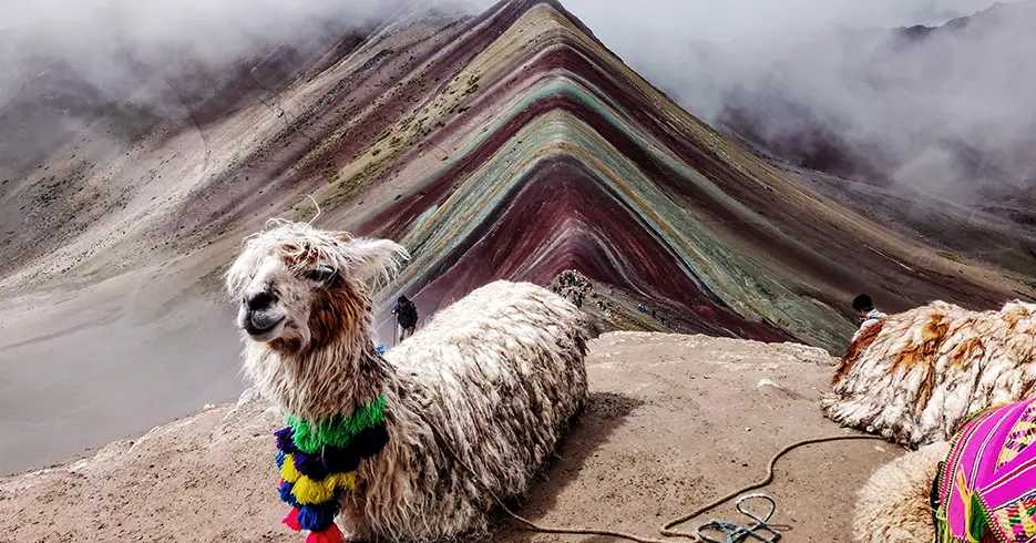 Montaña de los 7 colores con vista de una llama y los colores de la montaña, rojos, verdes, amarillos y otros colores