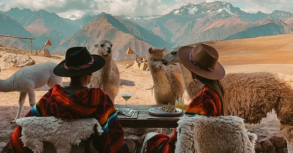 Descubre los 3 hoteles en Cusco rodeados de naturaleza 1 vista de las llamas y las montañas de los andes en el mountain view, hoteles en cusco