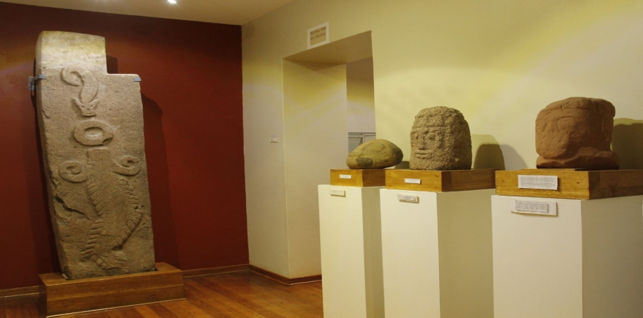 Que hacer en Puno con tu familia: Aventura en el corazon de los Andes Peruanos 2 que-hacer-en-puno-conoce-el-museo-carlos-dreyer