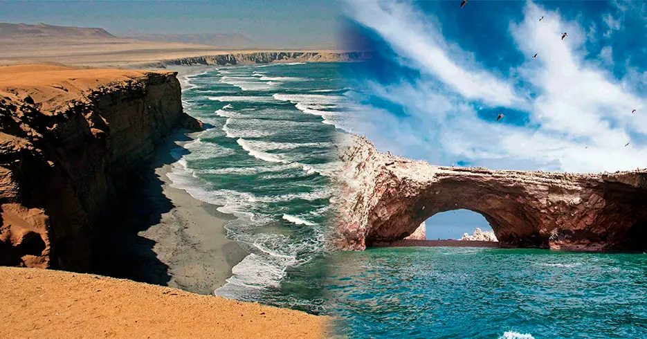 Todo lo que Tienes que Saber sobre Huacachina: Un Oasis en el Desierto 7 reserva nacional de paracas e islas ballestas