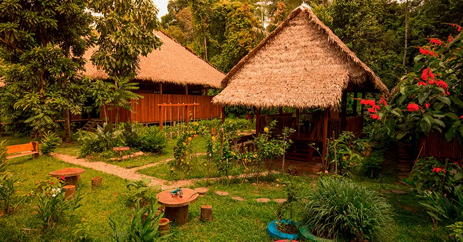 Explora los Mejores Hoteles de Tambopata y sus Actividades 1 posada amazonas de rainforest expedition en la reserva nacional de tambopata