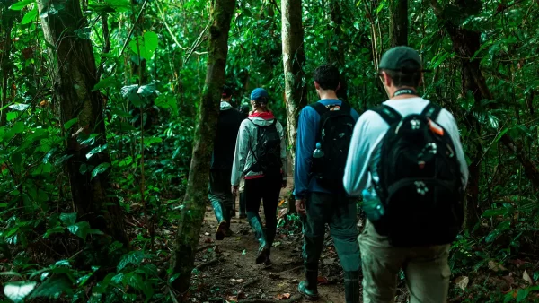 Que llevar a la selva peruana, paseos en la selva con los equipos correctos