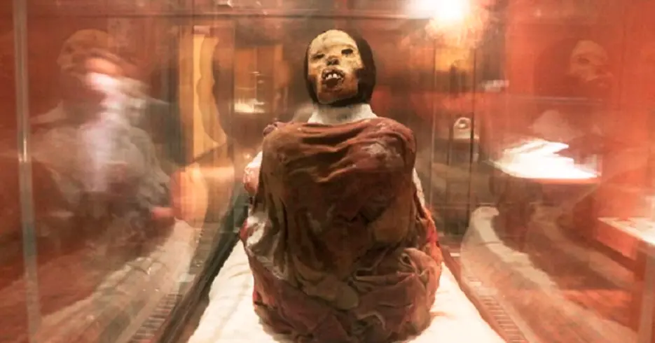 Qué Ver en Arequipa: Los Imprescindibles de la Ciudad Blanca 4 que ver en arequipa, Museo Santuarios Andinos momia juanita