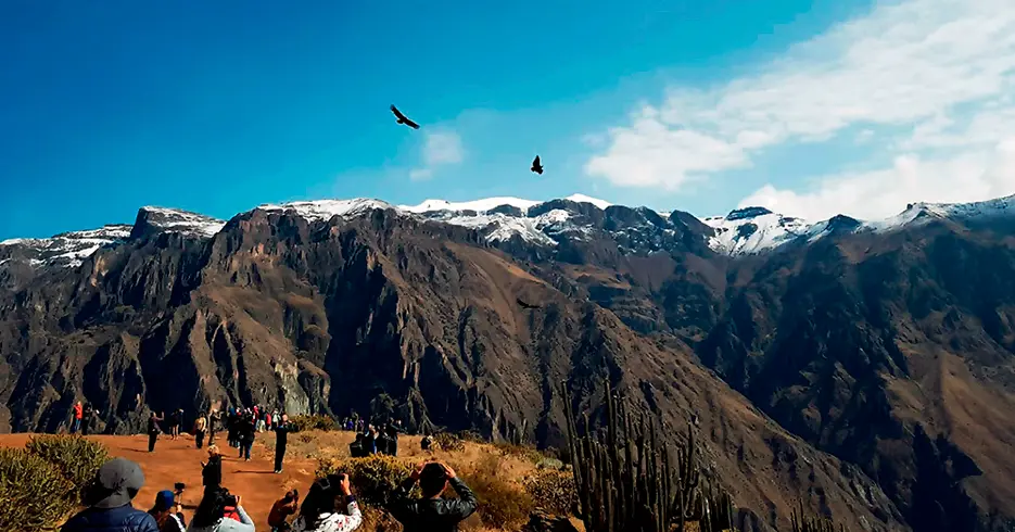 que ver en peru - cañon del colca en arequipa