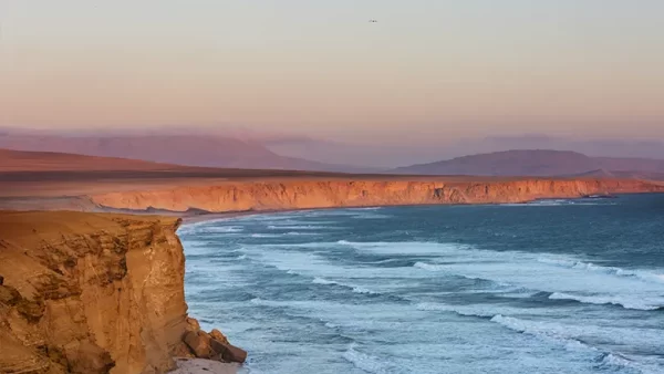 Reserva Nacional de Paracas