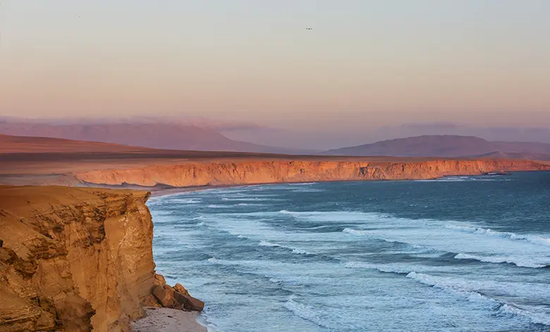 Descubre la Exuberante Fauna y Flora de la Reserva Nacional de Paracas 1 Reserva Nacional de Paracas
