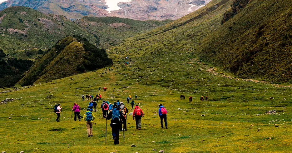 Descubre los 3 hoteles en Cusco rodeados de naturaleza 6 subida a la laguna humantay, con hermosas vistas y mucha vegetacion