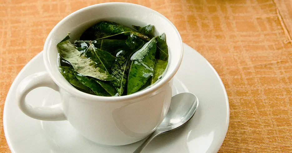 Viaje a los Andes en 11 días: Lugares impresionantes que debes conocer 8 te de coca, bebida tipica para un viaje a los andes