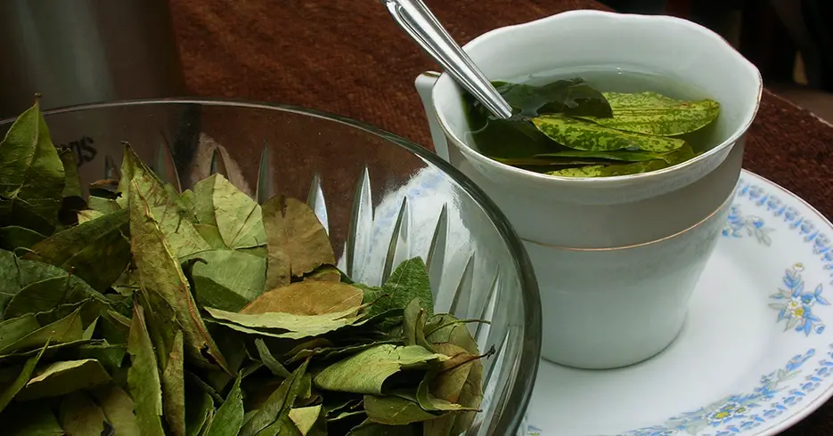 Té de coca, con hojas de coca