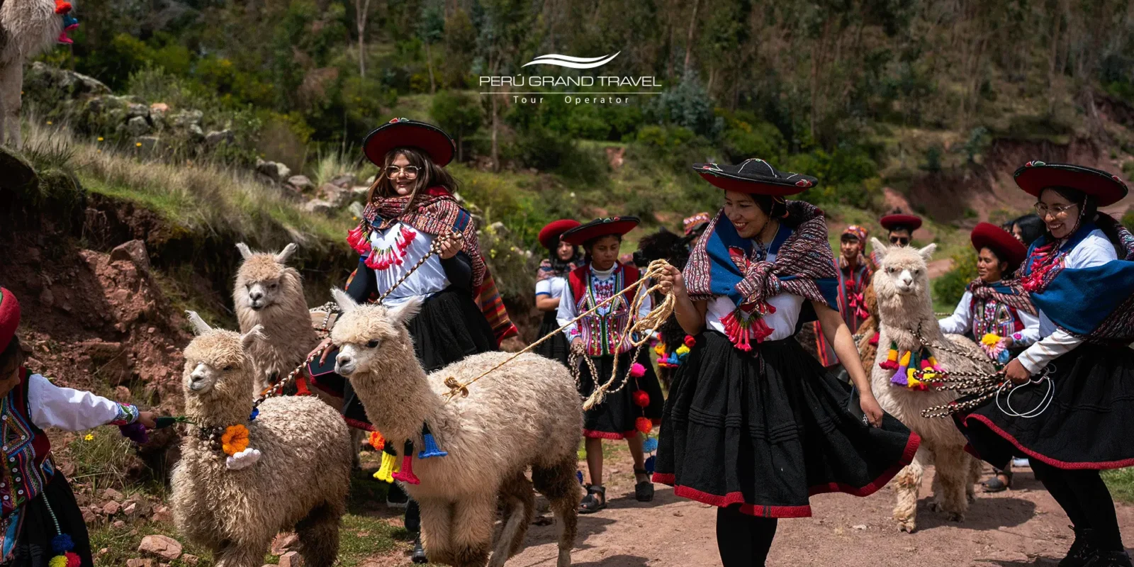 7 Poderosos Beneficios de la Terapia con Llamas: La Sanación Mística que Solo Puedes Encontrar en los Andes 3 terapia-con-llamas-peru