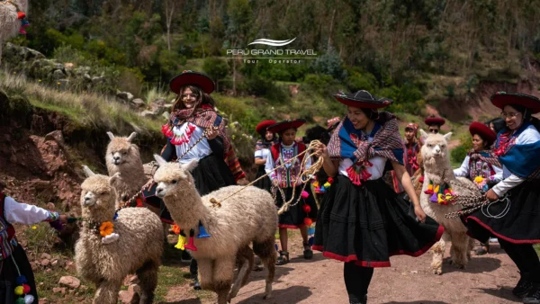 terapia-con-llamas-peru