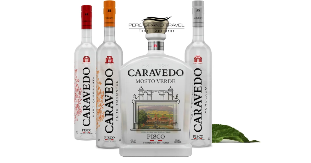 Dónde comprar pisco peruano: La guía definitiva para encontrar el verdadero espíritu del Perú 2026 5 tipos de piscos peruanos, pisco peruano, marcas de piscos peruanos, pisco tradicional, pisco bebida peruana