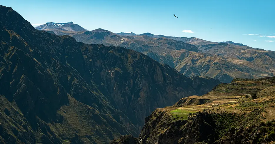 Trekking en Perú, cañón del colca en arequipa, vista de grandes montañas y un vuelo de un cóndor