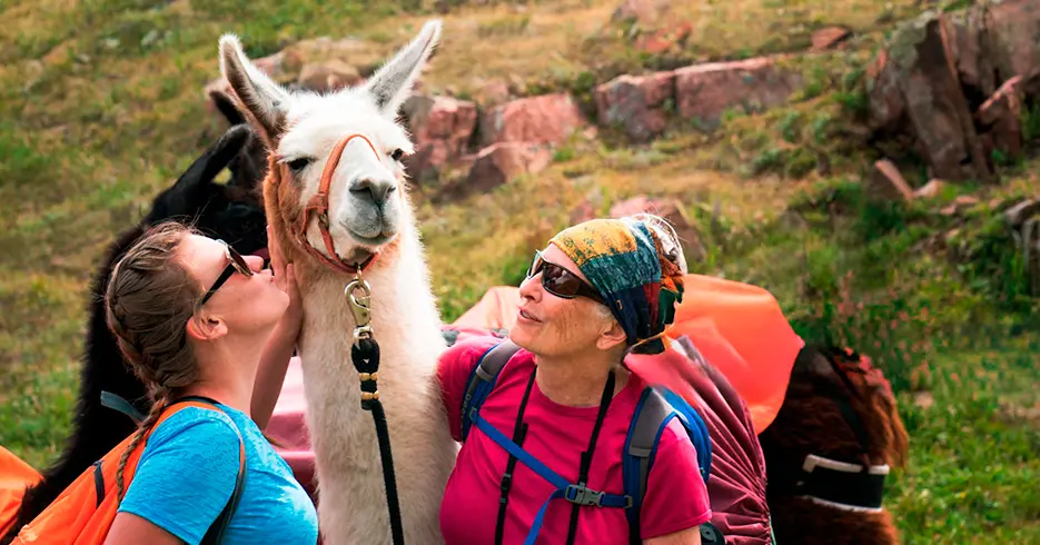 turistas con los animales del peru