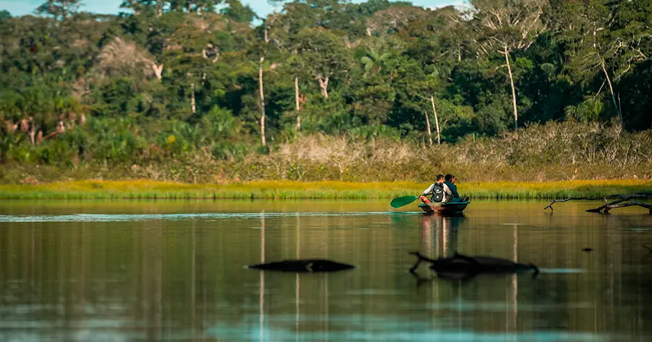 Una semana en Perú: ruta ideal por Lima, Cusco y Puno 6 una semana en peru tambopata selva peruana