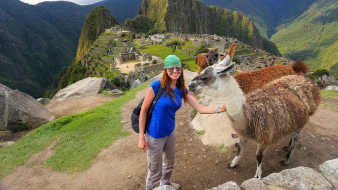 llama en machu picchu