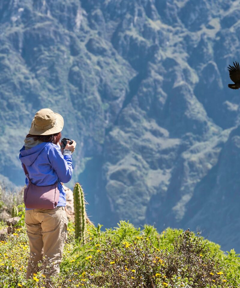 Una chica sacando foto el vuelo del condor en el Cañon de Colca Arequipa